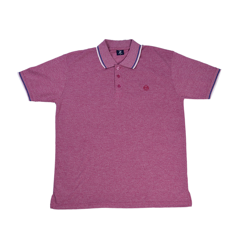 Men's Knit Polo - Rich Ams Global Ltd.