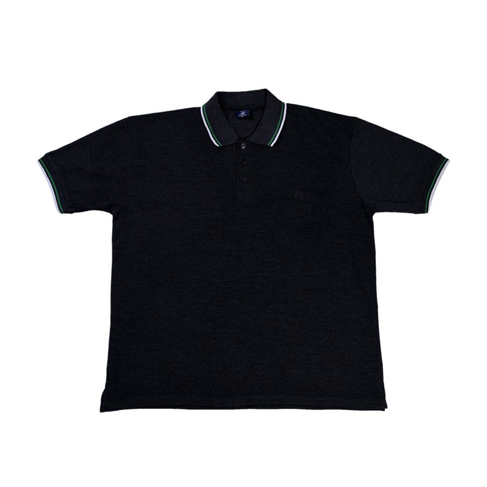 Men's Knit Polo - Rich Ams Global Ltd.